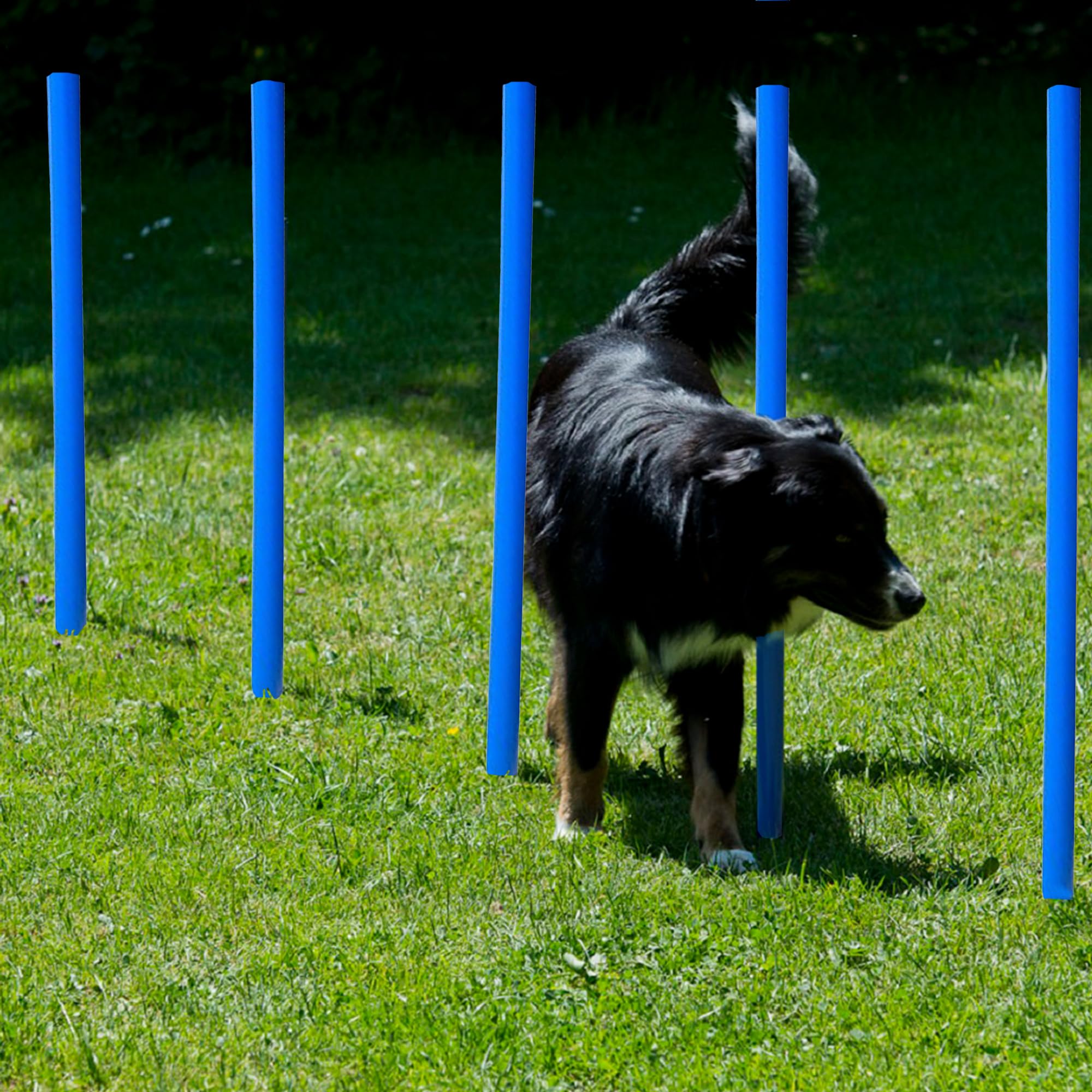 lemodo-agility-set-hundetraining-mit-tunnel-h-rden-slalomstangen image 8