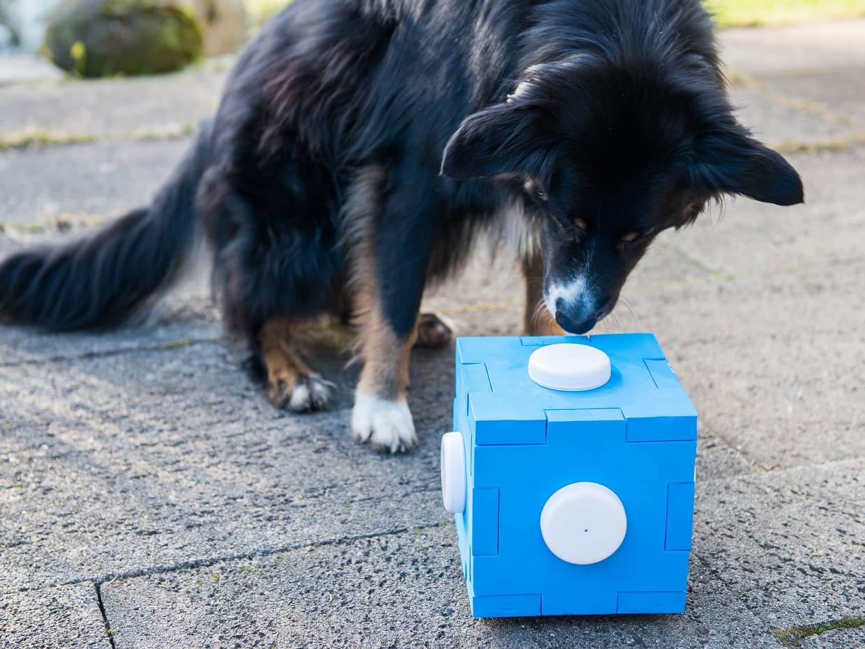 nativ-schn-ffel-cube-schn-ffelspiel-f-r-hunde-von-lemodo image 5