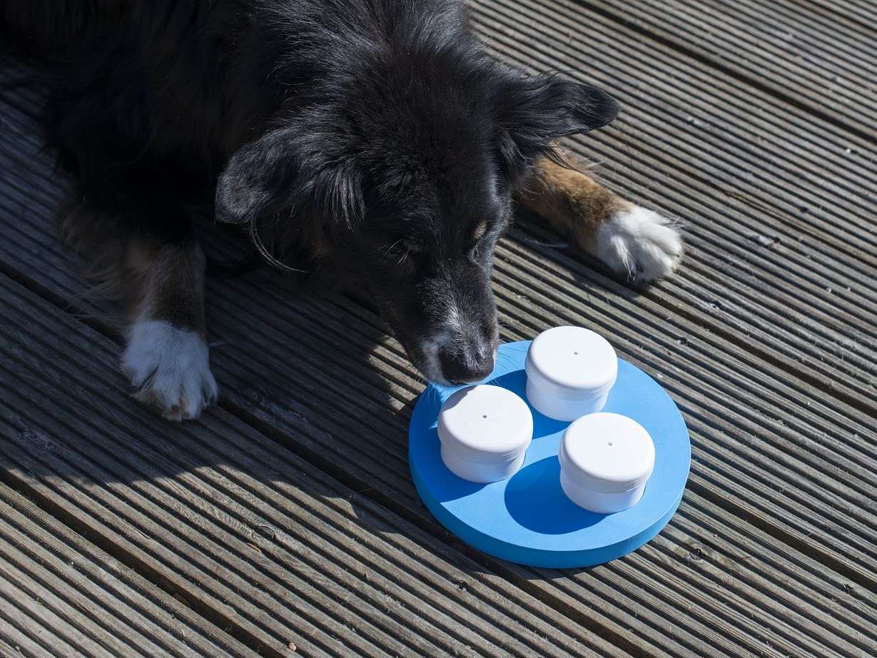 lemodo-schn-ffelset-hund-3-dosen-mit-klicker-nasenspiel image 2