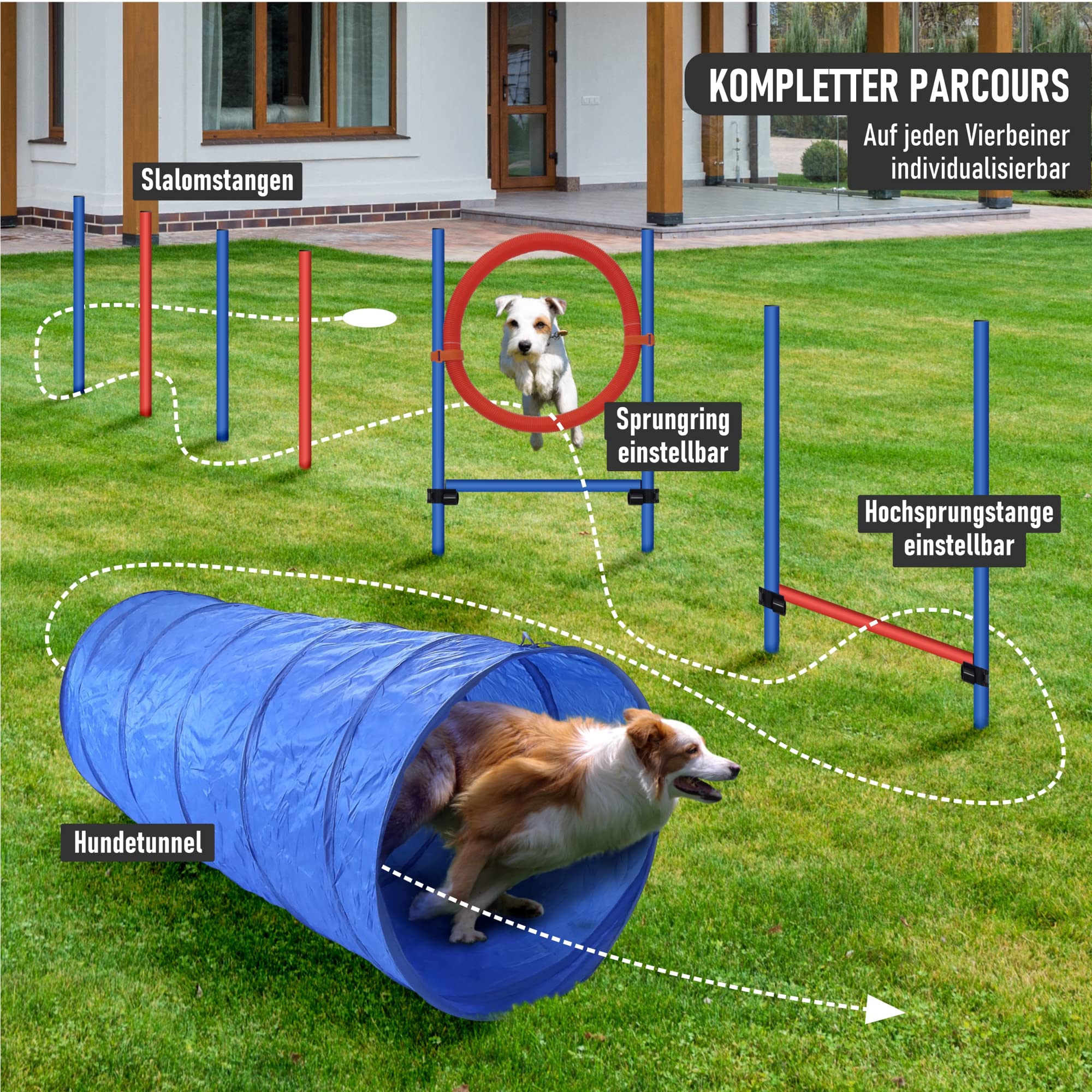 lemodo-nativ-agility-set-hunde-einsteiger-set-mit-h-rde-tunnel-und-sprungring image 2