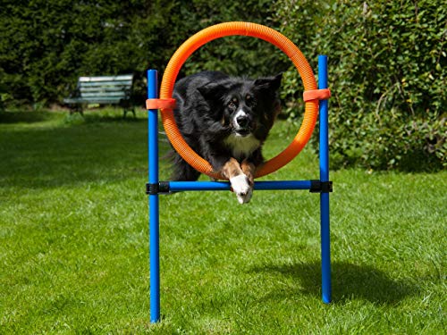 lemodo-sprungring-orange-blau-mit-tragetasche-agility-training-f-r-hunde image 2