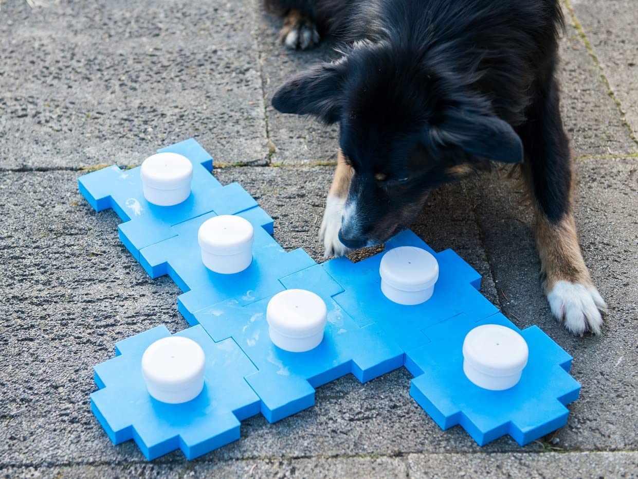 nativ-schn-ffel-cube-schn-ffelspiel-f-r-hunde-von-lemodo image 4