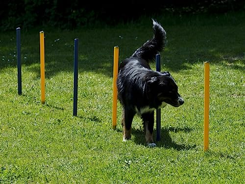 lemodo-agility-set-f-r-hunde-h-rden-und-stangen-set-hundetraining image 8