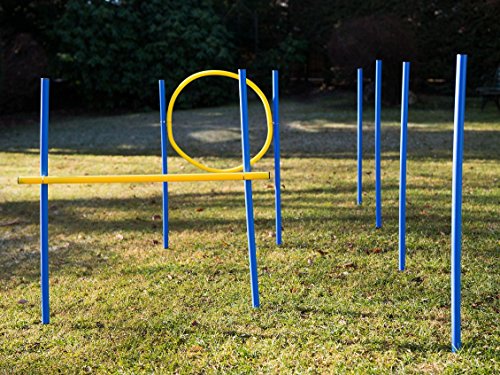 lemodo-agility-set-f-r-hunde-mit-slalomstangen-h-rde-und-jumpring image 4