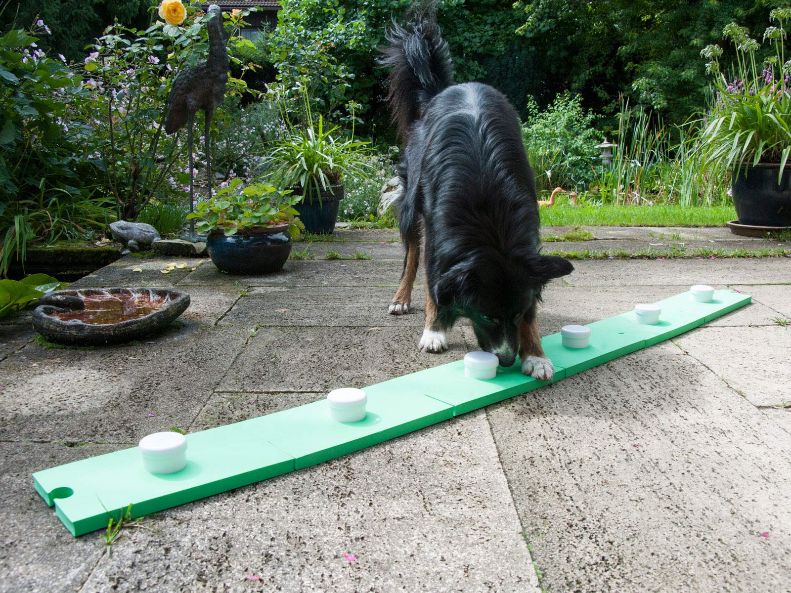 lemodo-schn-ffelspa-f-r-hunde-gr-n-schn-ffel-set-6-dosen-und-6-platten image 4