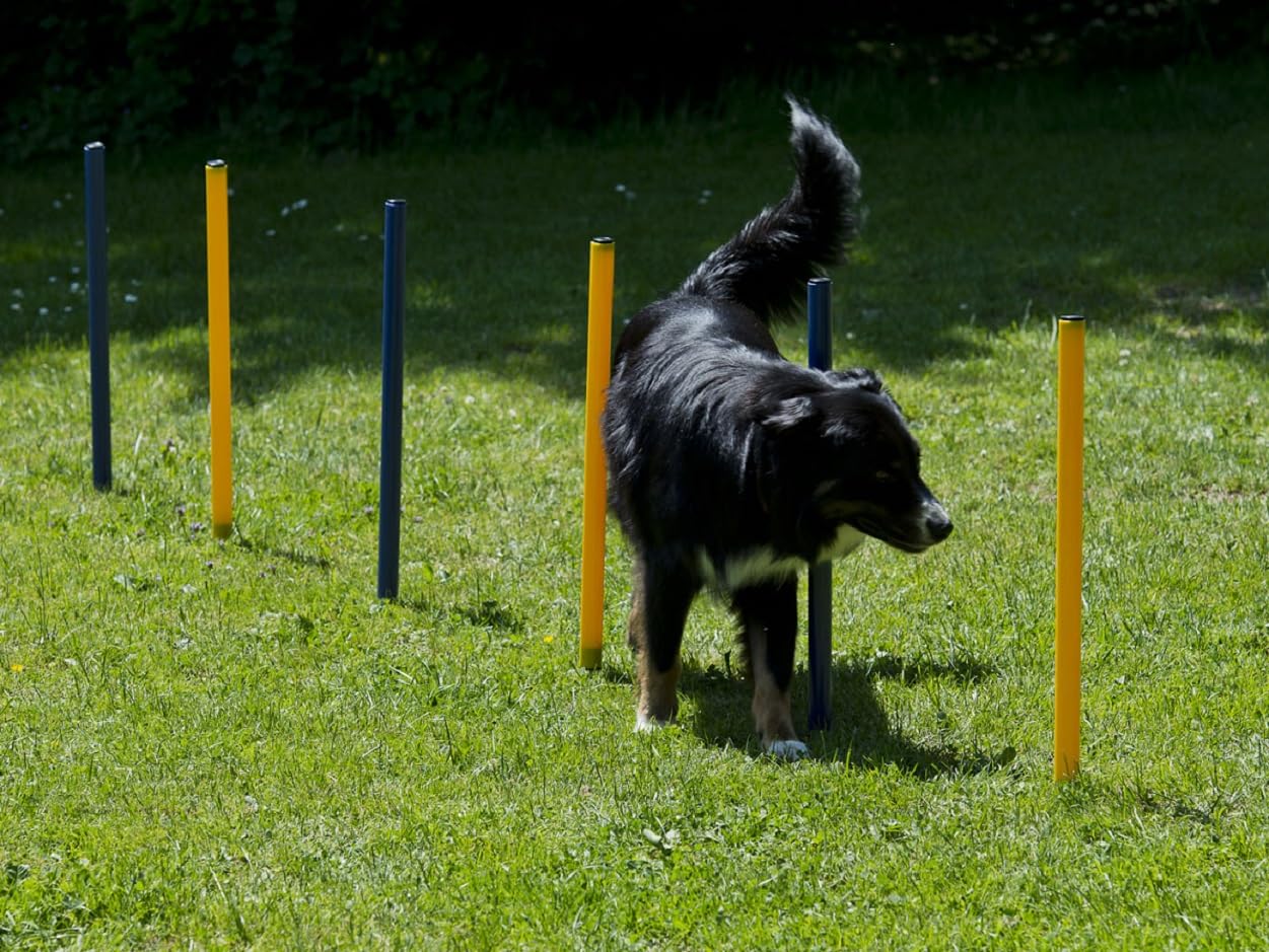 lemodo-agility-set-f-r-hunde-h-rden-und-stangen-set-hundetraining image 4