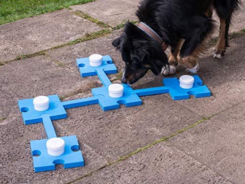 lemodo-schn-ffel-set-f-r-hunde-hundespielzeug-agility-geruchssinn-training image 4