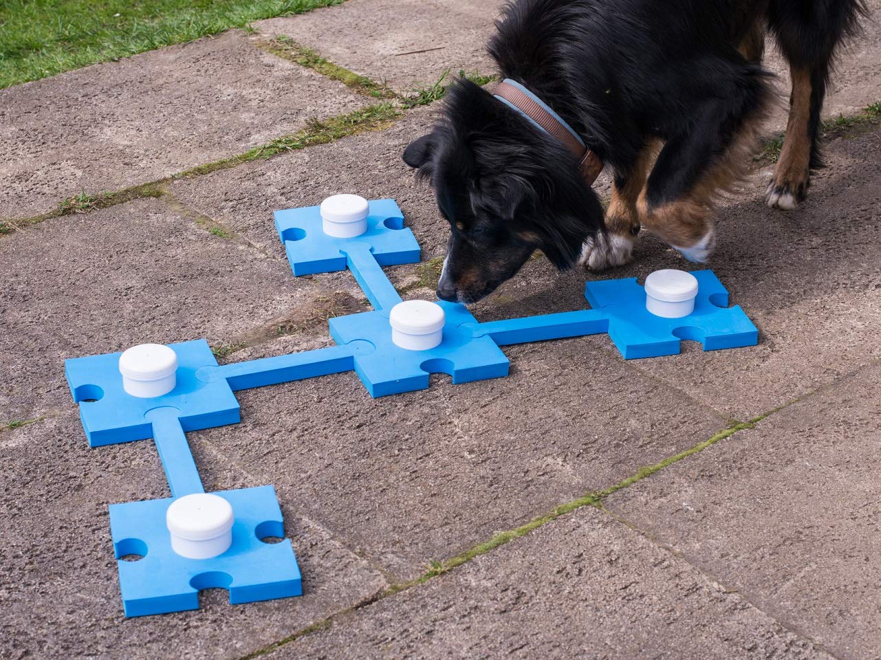 lemodo-schn-ffel-set-f-r-hunde-hundespielzeug-agility-geruchssinn-training image 2