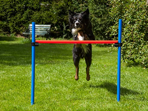 lemodo-agility-h-rde-rot-blau-h-henverstellbar-mit-tragetasche-hund image 3