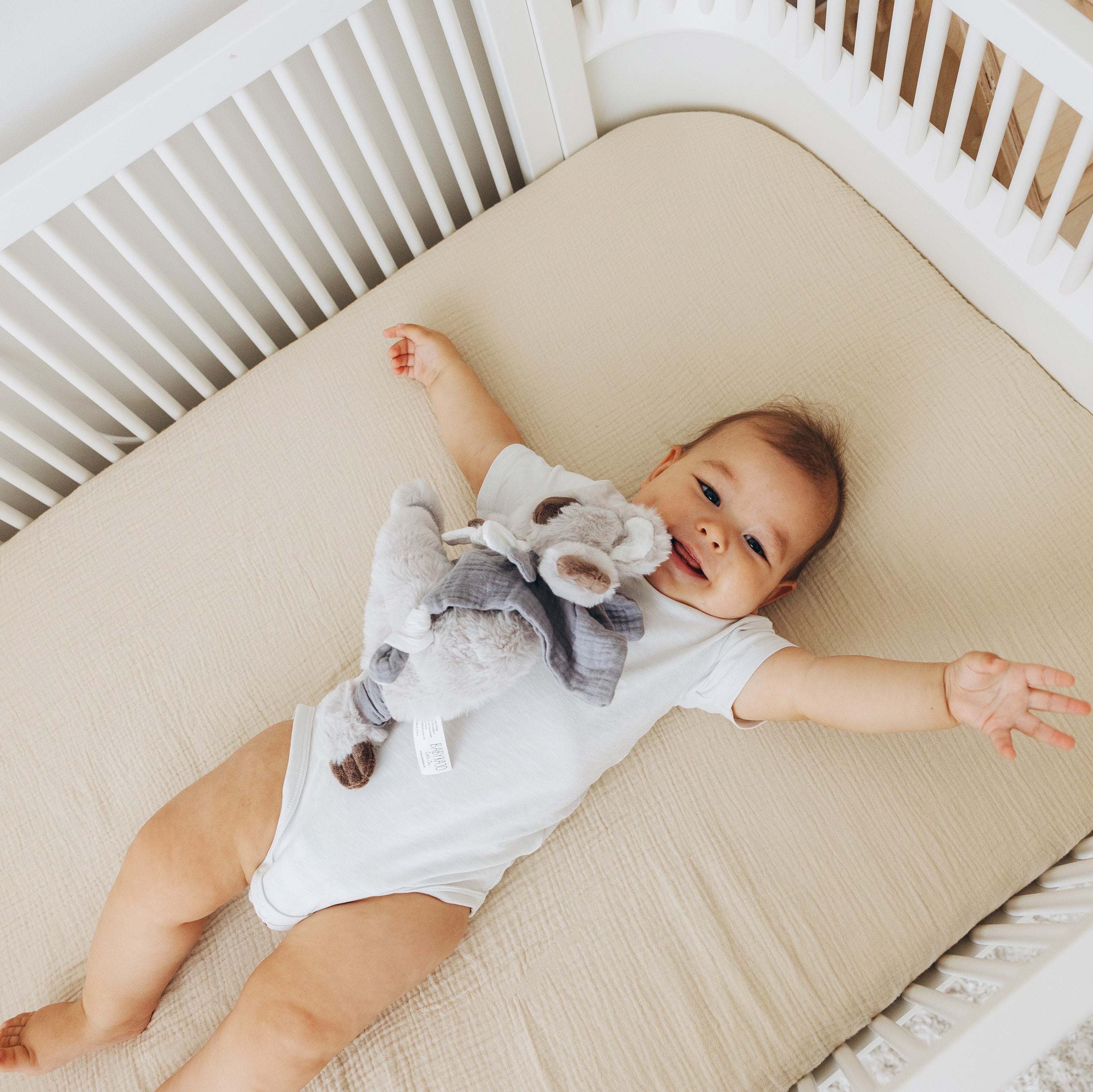 babykajo-schnuffeltuch-baby-koala-pl-sch-musselin image 4