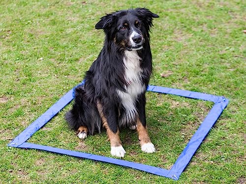 lemodo-agility-set-f-r-hunde-h-rden-und-stangen-set-hundetraining image 7