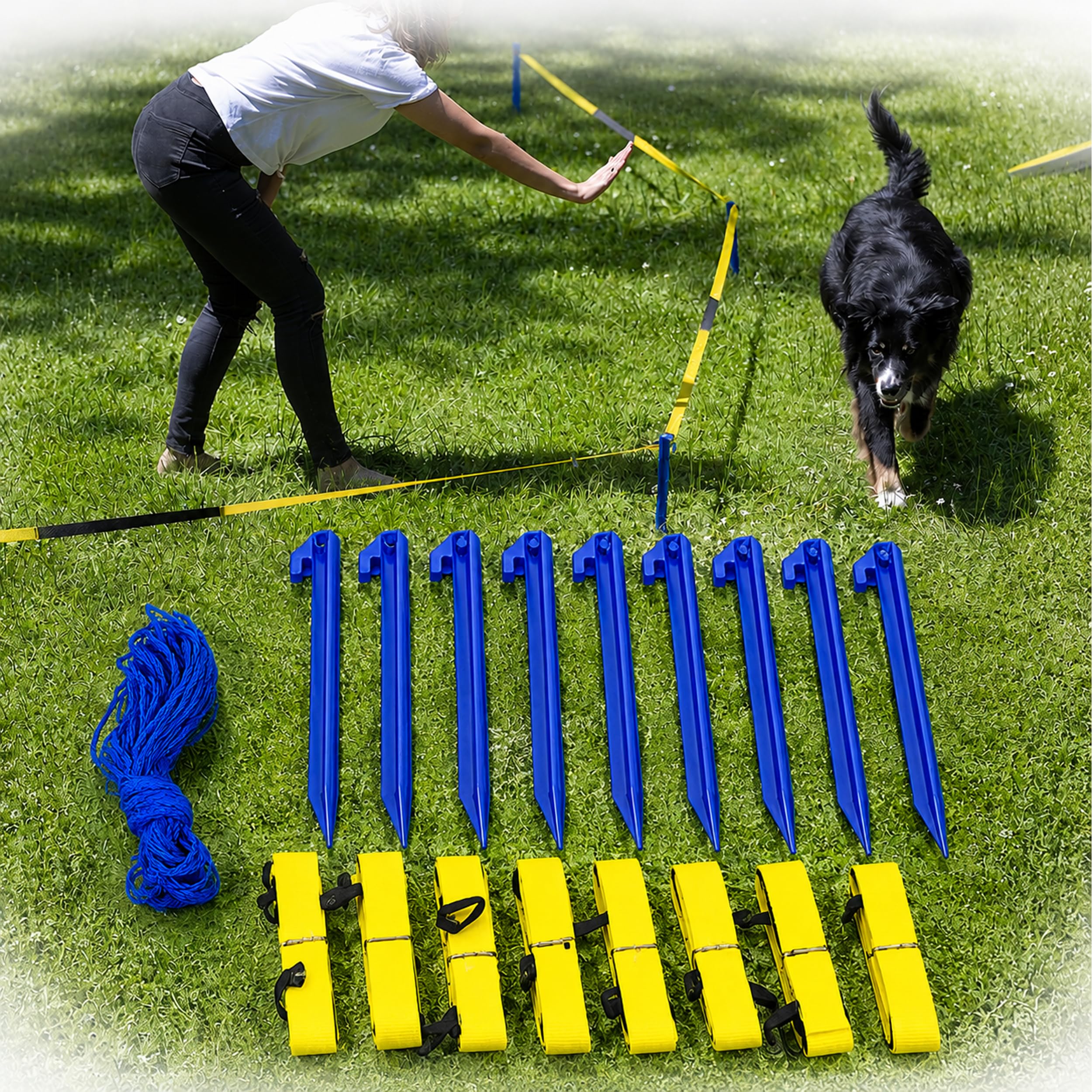 lemodo-longier-set-f-r-hunde-radius-3-3-5-m-hundetraining-longieren image 7