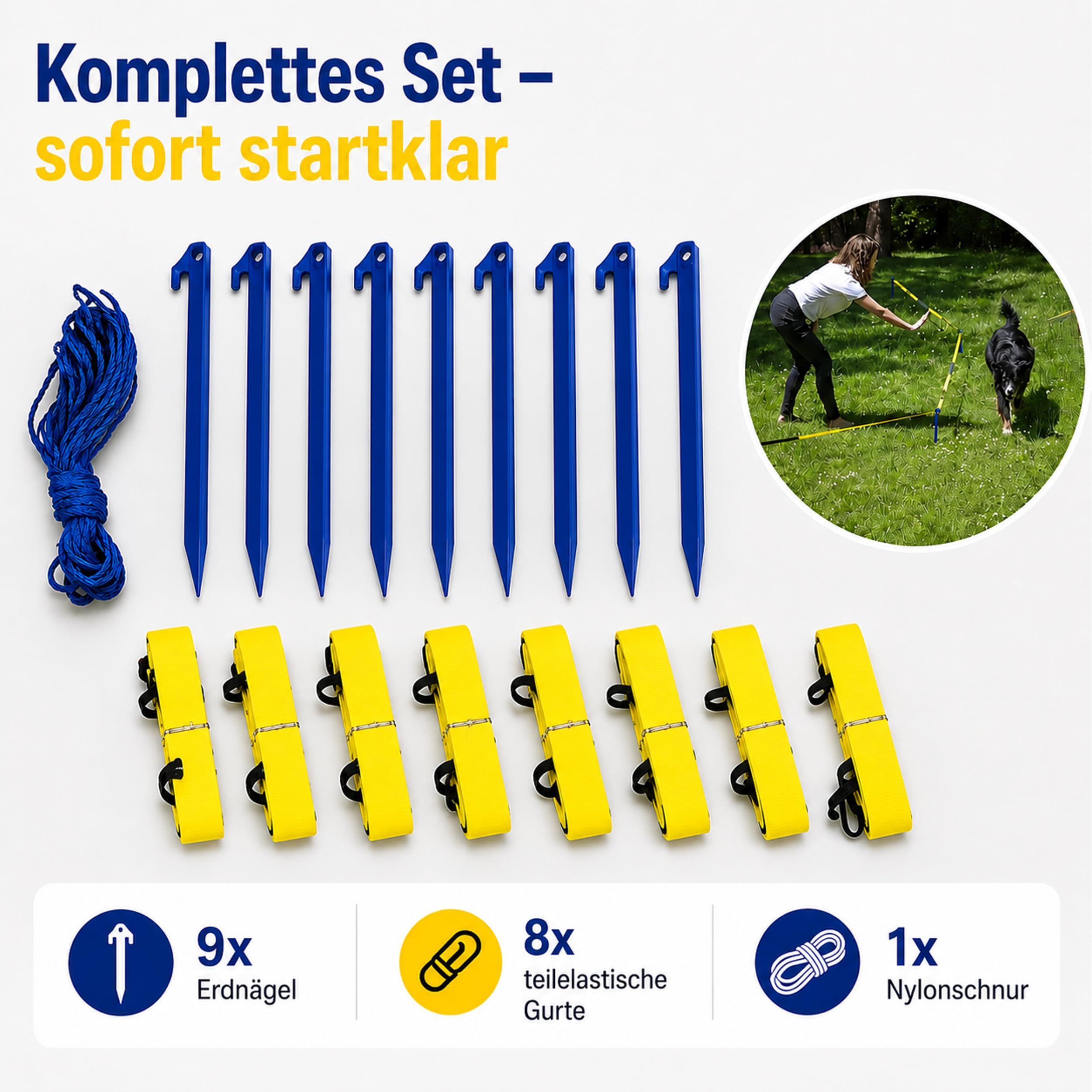 lemodo-longier-set-f-r-hunde-radius-3-3-5-m-hundetraining-longieren image 3