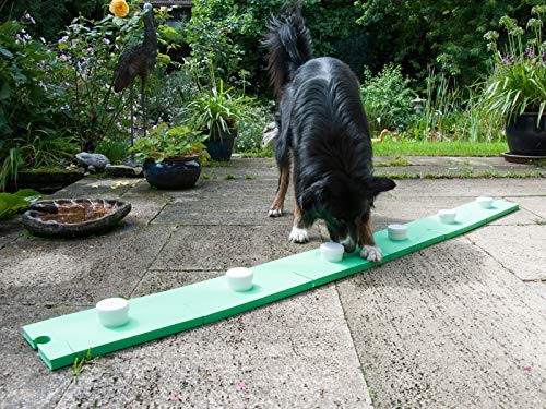 lemodo-schn-ffelspa-f-r-hunde-gr-n-schn-ffel-set-6-dosen-und-6-platten image 8