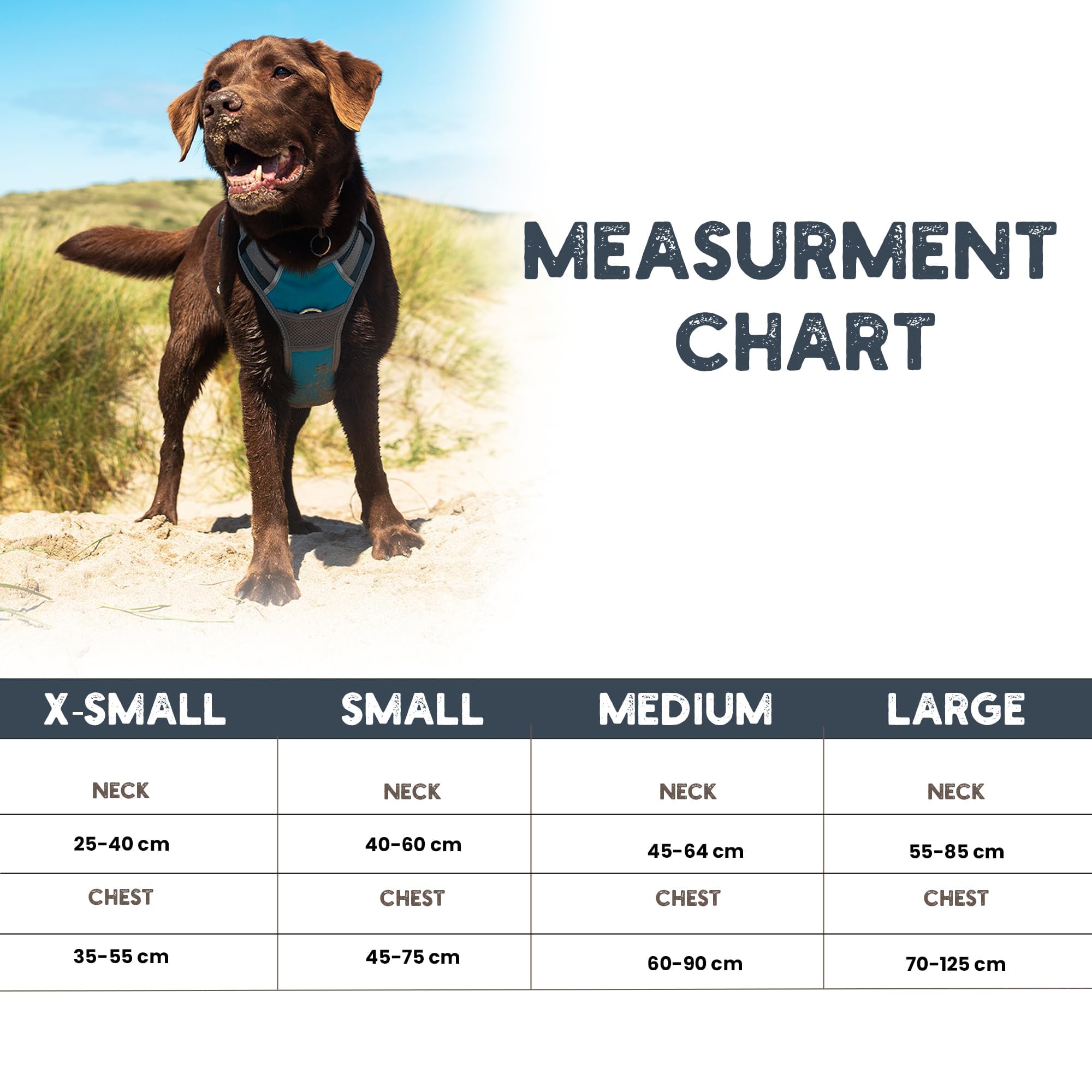 henry-wag-hundegeschirr-gr-e-l-von-lemodo image 4
