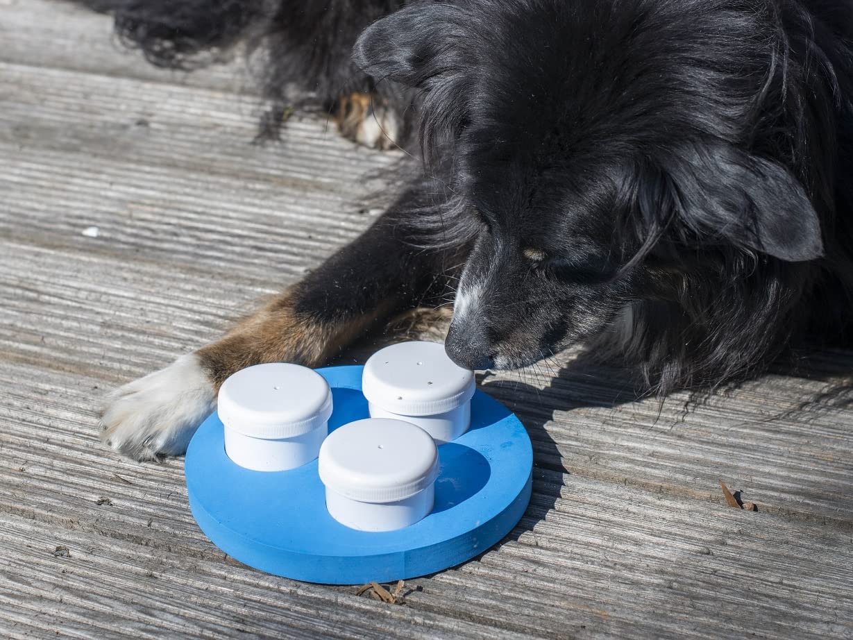 lemodo-schn-ffelset-hund-3-dosen-mit-klicker-nasenspiel image 4
