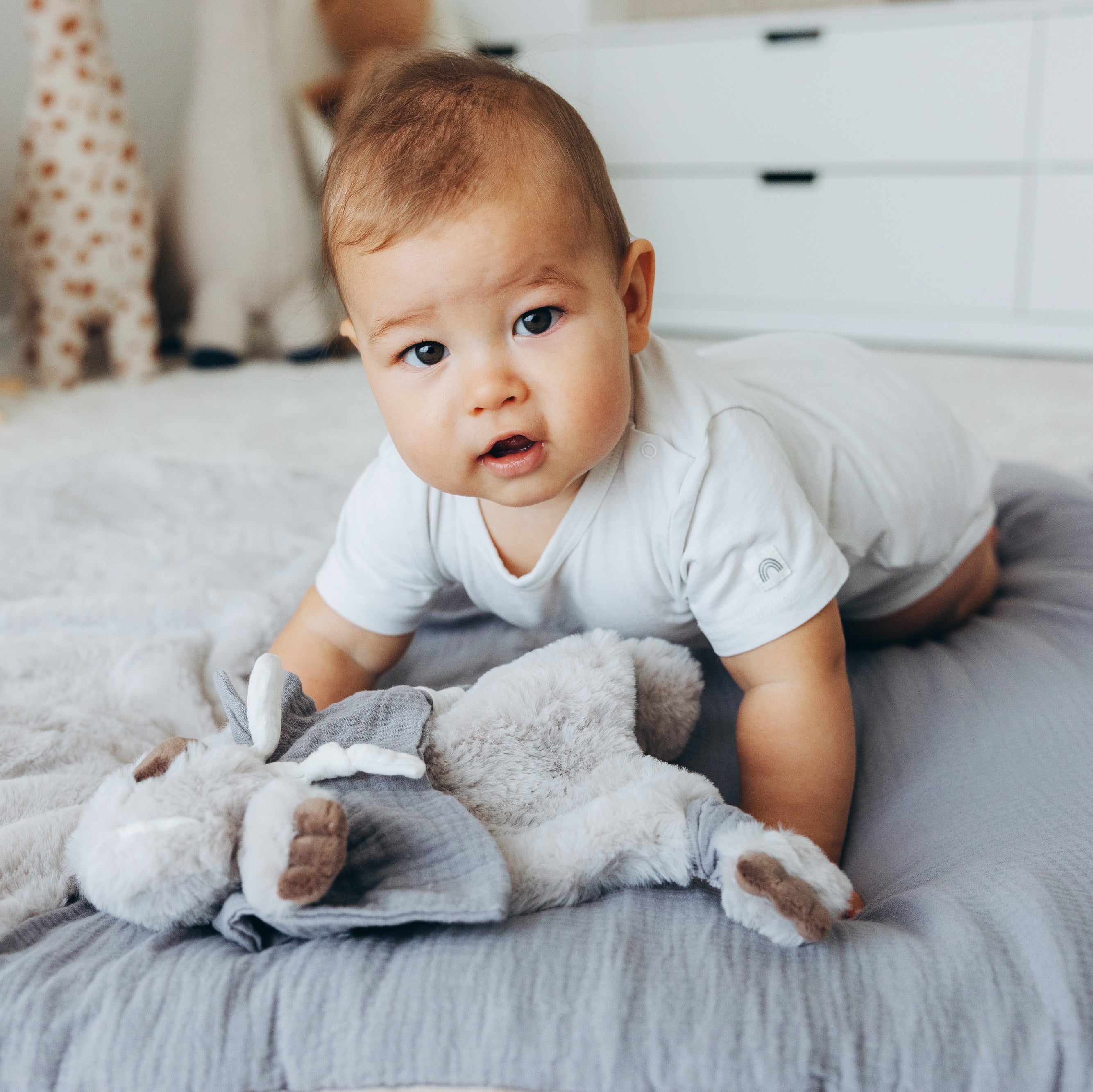 babykajo-schnuffeltuch-baby-koala-pl-sch-musselin image 6