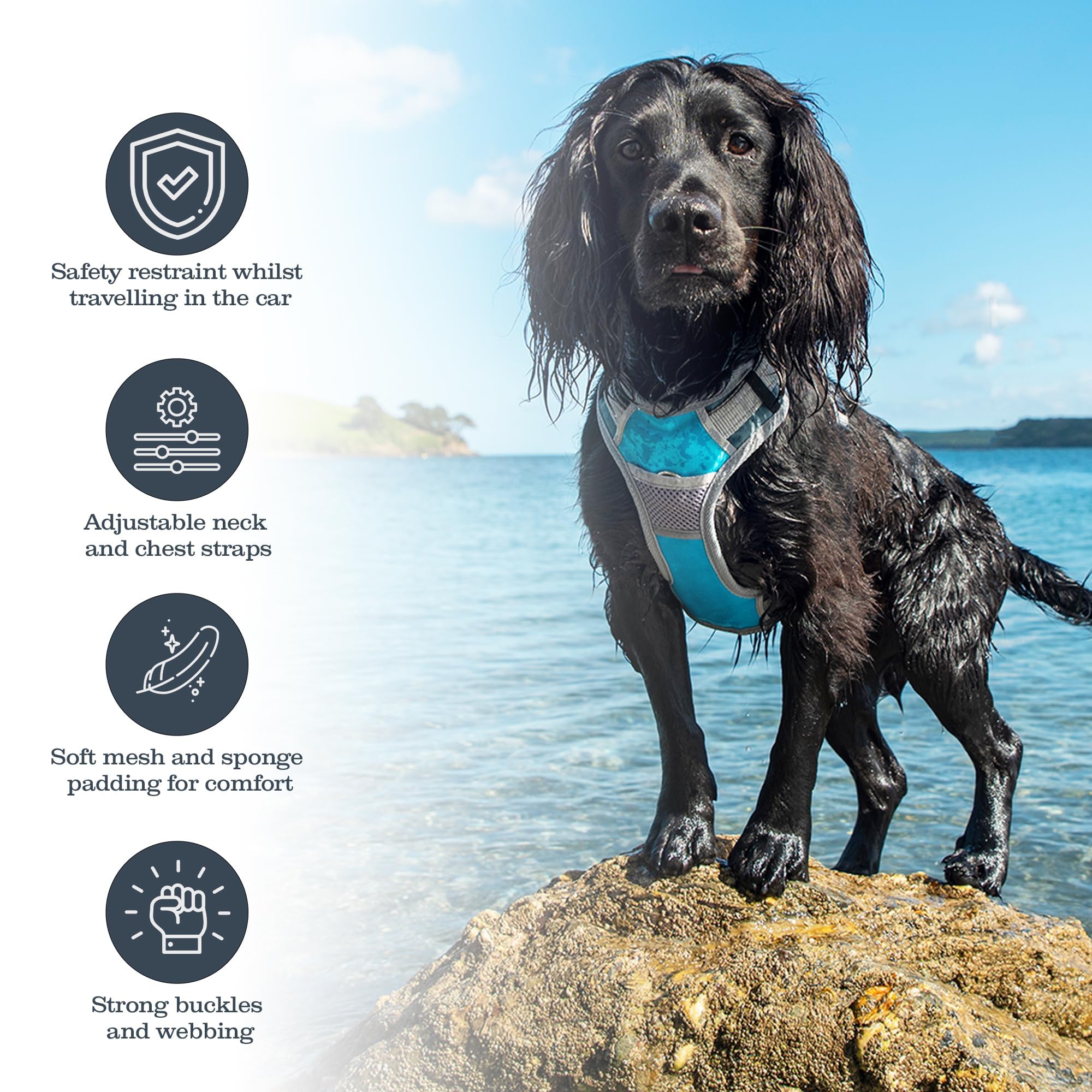 henry-wag-hundegeschirr-gr-e-l-von-lemodo image 3