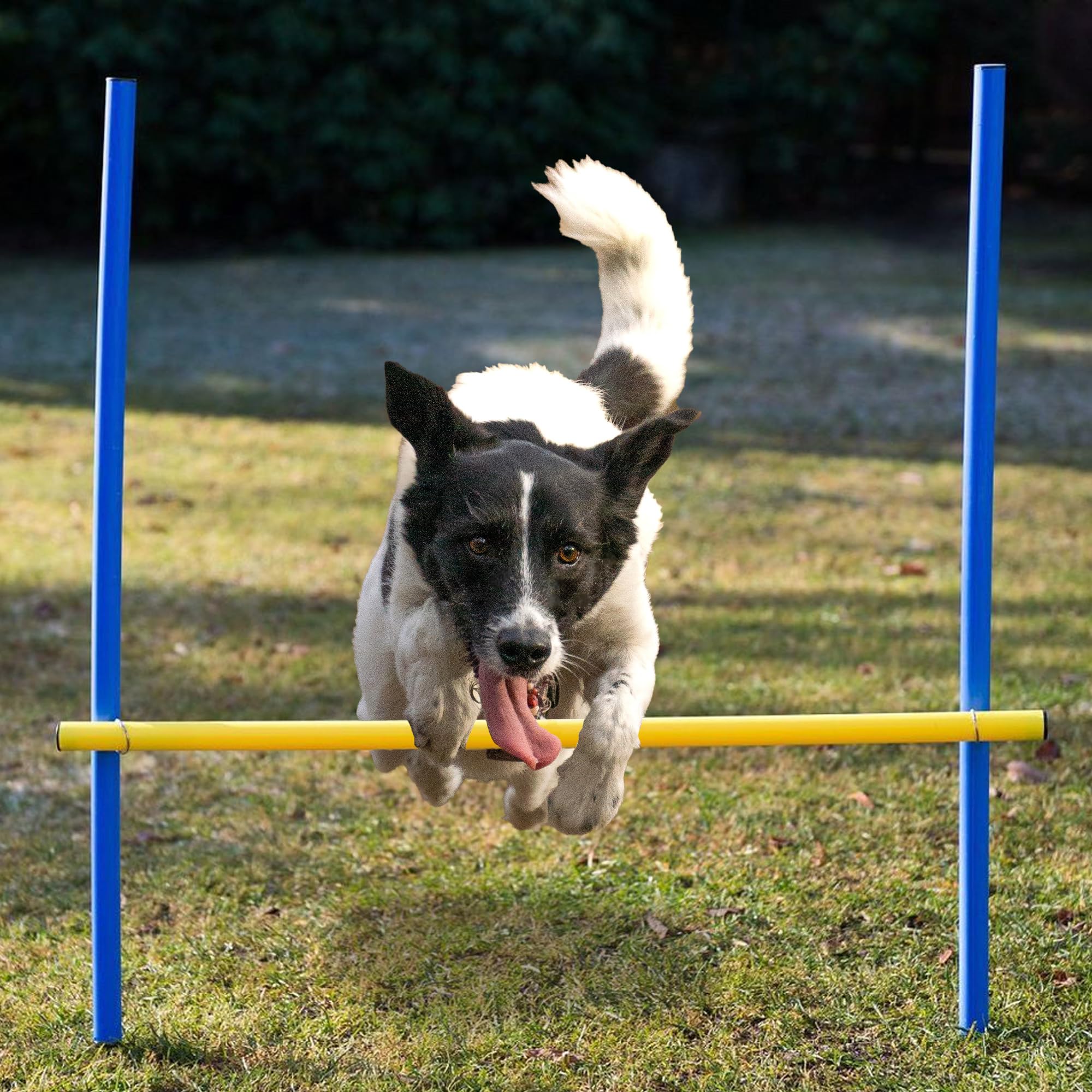 lemodo-agility-set-hundetraining-mit-tunnel-h-rden-slalomstangen image 6