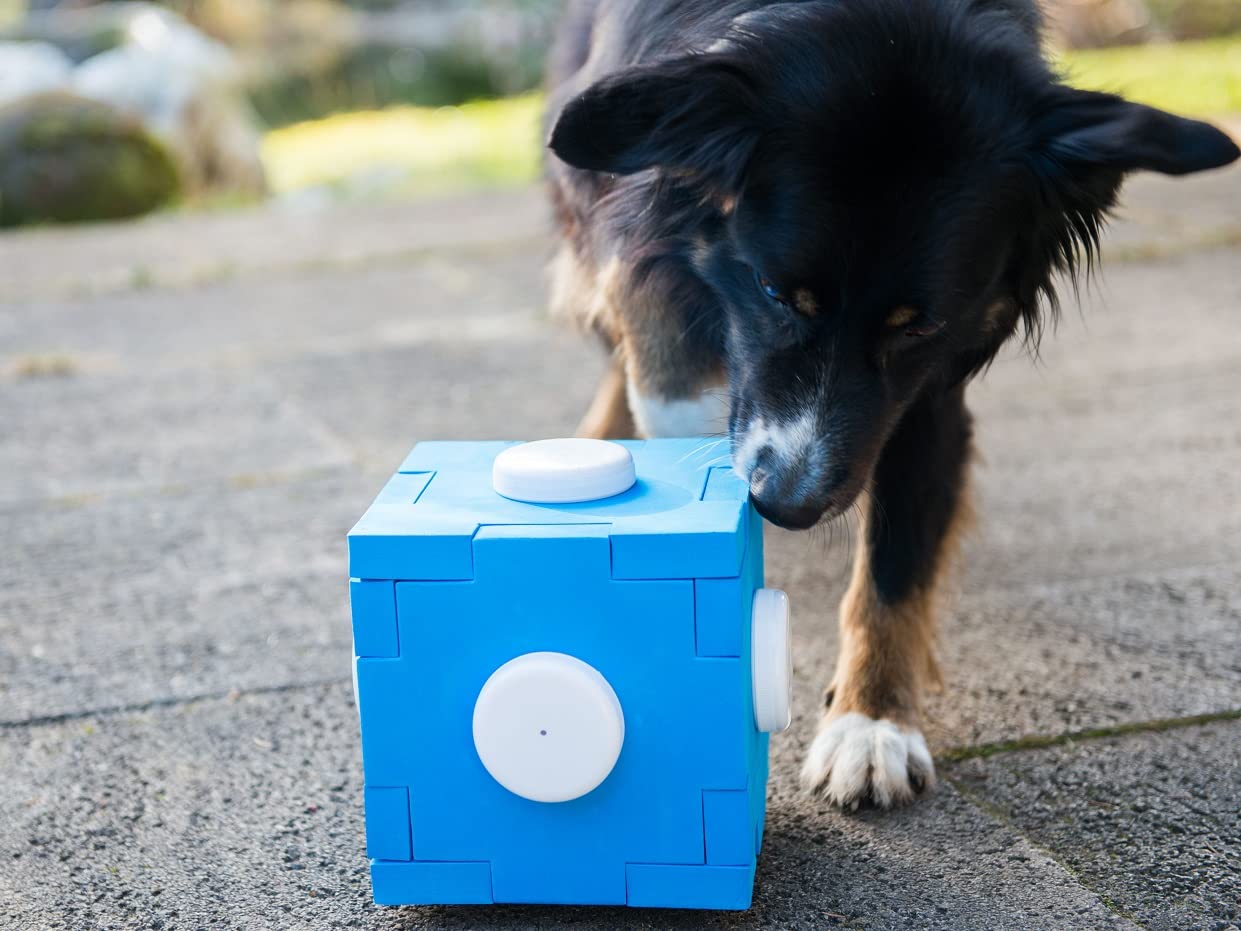 nativ-schn-ffel-cube-schn-ffelspiel-f-r-hunde-von-lemodo image 7