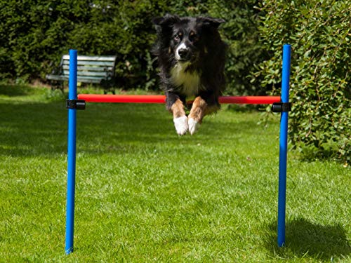lemodo-agility-h-rde-rot-blau-h-henverstellbar-mit-tragetasche-hund image 4