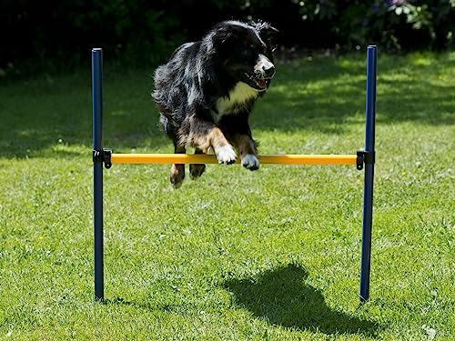 lemodo-agility-set-f-r-hunde-h-rden-und-stangen-set-hundetraining image 6