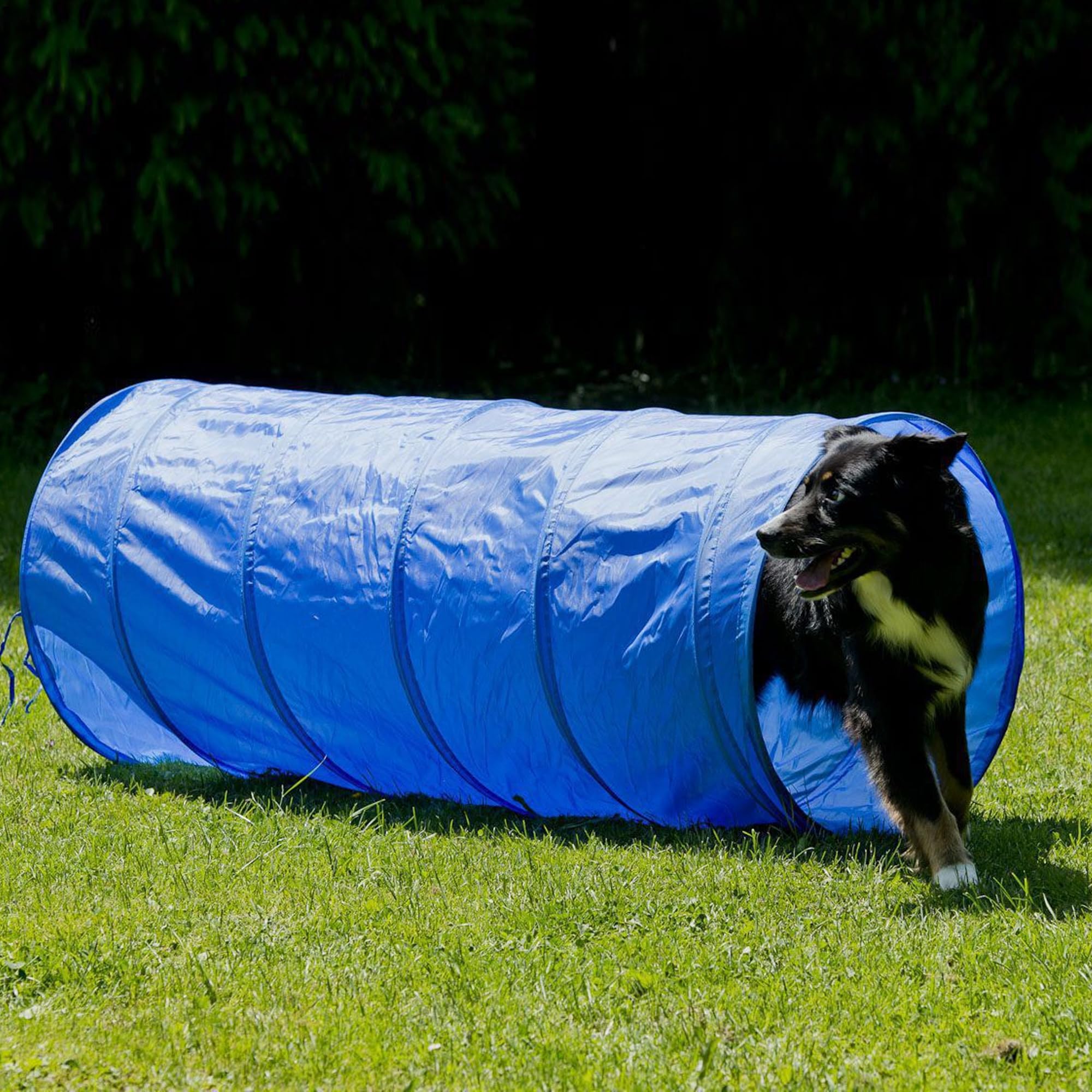 lemodo-agility-set-hundetraining-mit-tunnel-h-rden-slalomstangen image 5