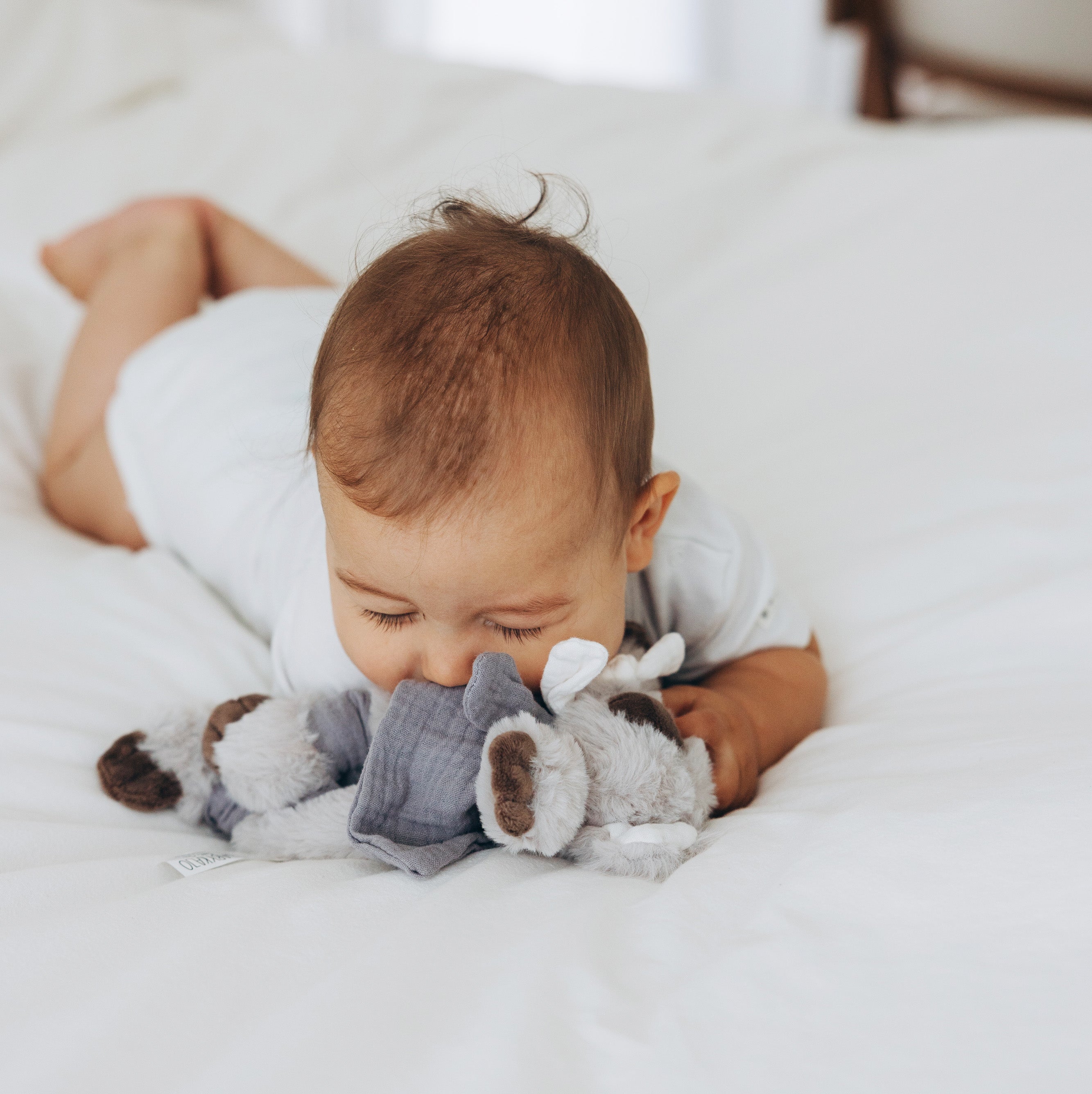 babykajo-schnuffeltuch-baby-koala-pl-sch-musselin image 5