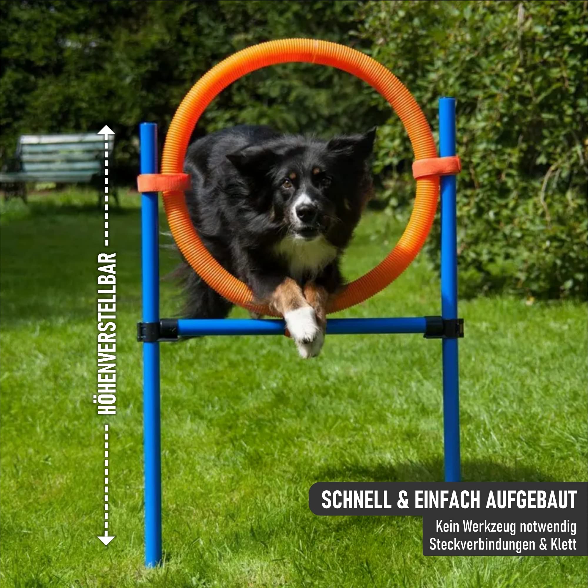 lemodo-nativ-agility-set-hunde-einsteiger-set-mit-h-rde-tunnel-und-sprungring image 4