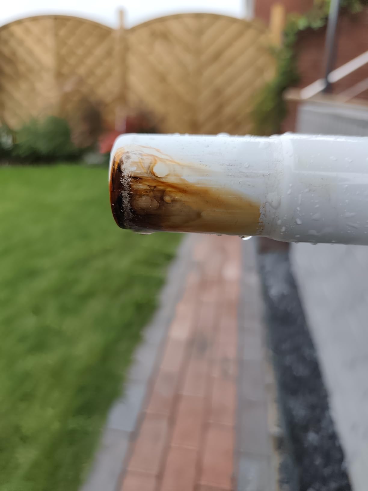 Perfekt für kleine Gärten