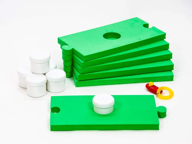lemodo-schn-ffelspa-f-r-hunde-gr-n-schn-ffel-set-6-dosen-und-6-platten image 1