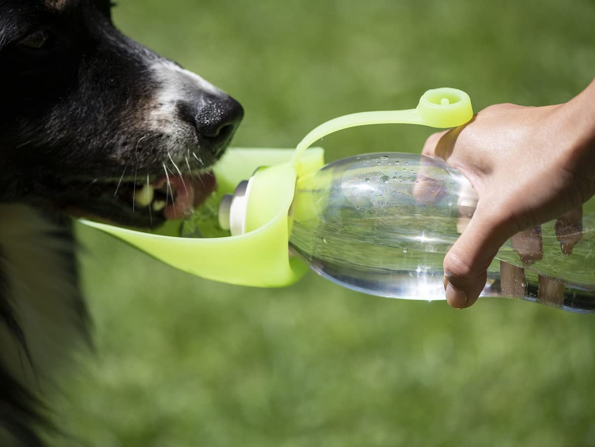 lemodo-hunde-set-to-go-4-teilig-outdoor-reiseset-mit-trinkflasche-napf-leckerli- image 8