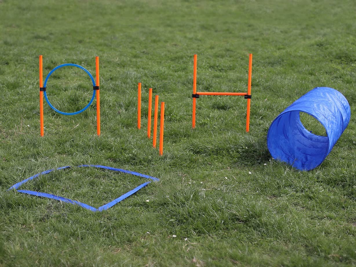 lemodo-agility-set-hundetraining-h-rde-tunnel-sprungring image 2
