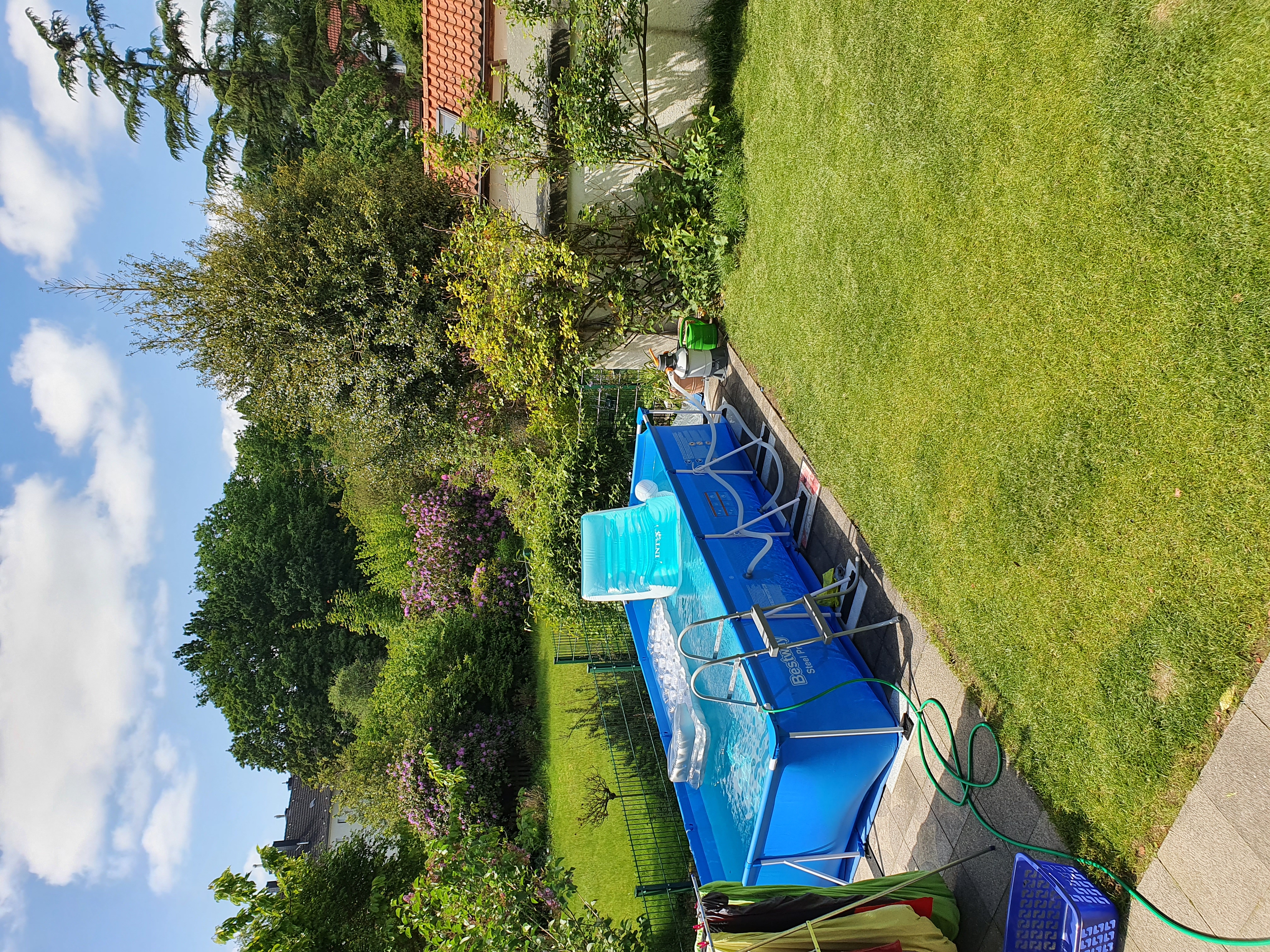 Ideal für kleinen Garten