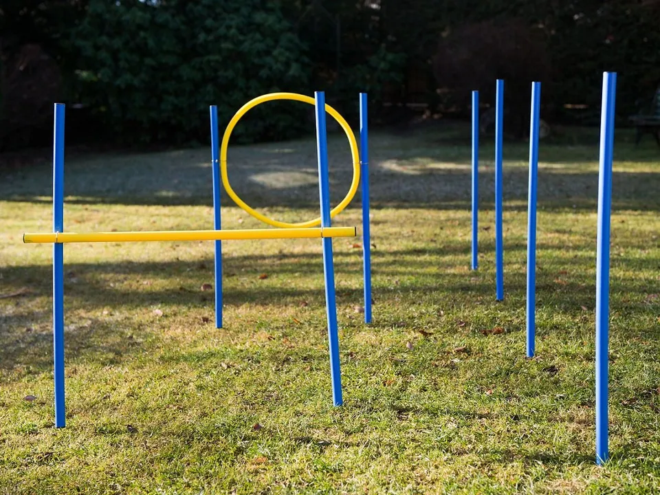 lemodo-agility-set-f-r-hunde-mit-slalomstangen-h-rde-und-jumpring image 1