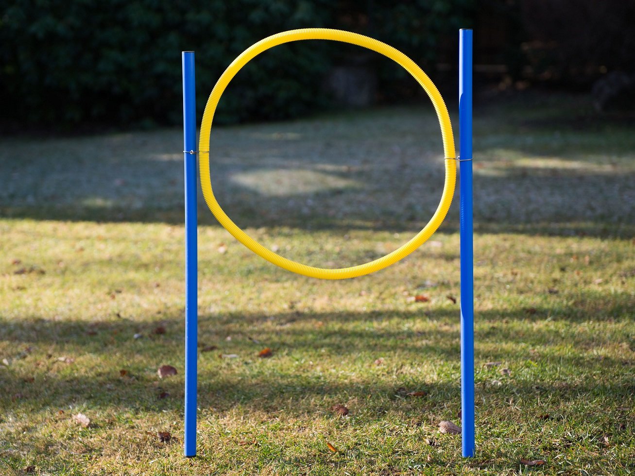 lemodo-agility-set-f-r-hunde-mit-slalomstangen-h-rde-und-jumpring image 2