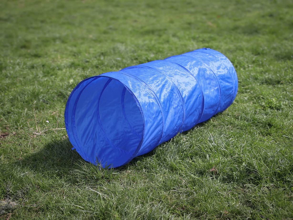 lemodo-agility-set-hundetraining-h-rde-tunnel-sprungring image 7