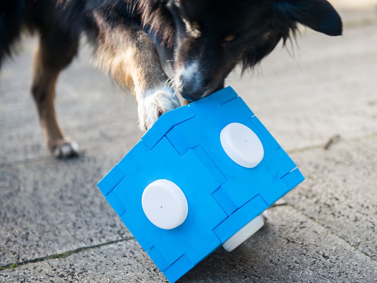 nativ-schn-ffel-cube-schn-ffelspiel-f-r-hunde-von-lemodo image 6