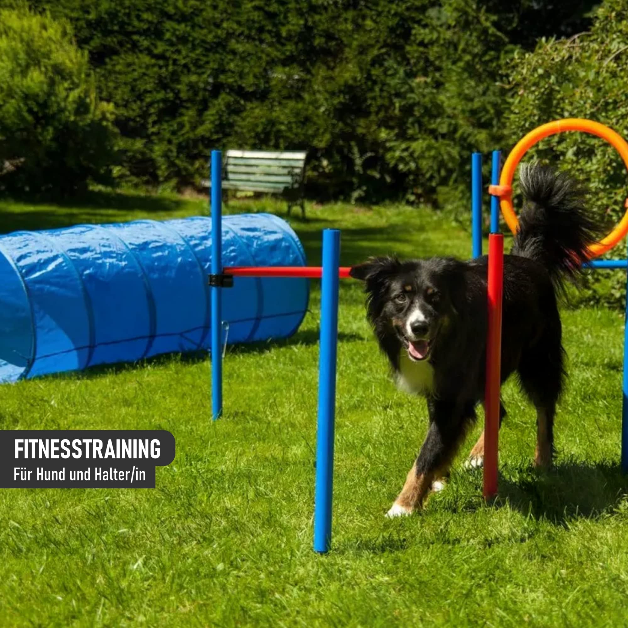 lemodo-nativ-agility-set-hunde-einsteiger-set-mit-h-rde-tunnel-und-sprungring image 7