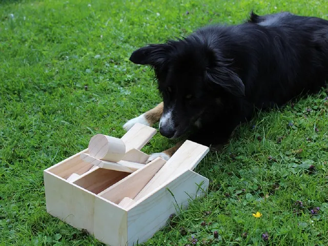 lemodo-hundepiano-aus-holz-lernspielzeug-intelligenz-spielzeug-29x22x10-cm image 1