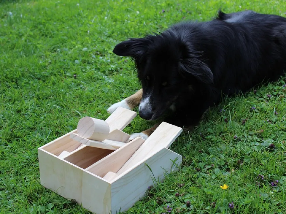 lemodo-hundepiano-aus-holz-lernspielzeug-intelligenz-spielzeug-29x22x10-cm image 1